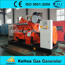 Hot sale 375kva natural gas generator approved by CE